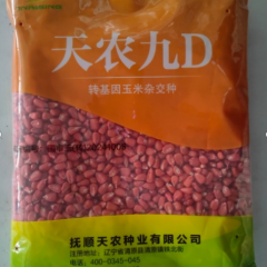 天农九D